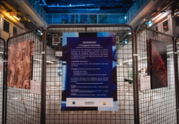 Nuit Blanche des Chercheurs 2020