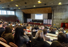 Diplomes Master IAE-Nantes promotion 2017